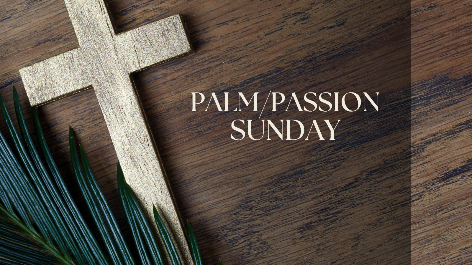 Palm/Passion Sunday